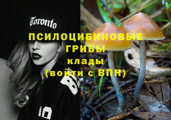 каннабис Аркадак
