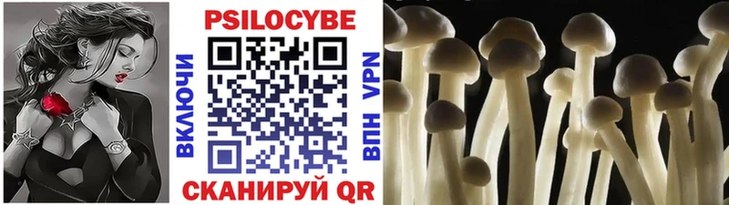 Псилоцибиновые грибы мицелий  Купить где  Емва 